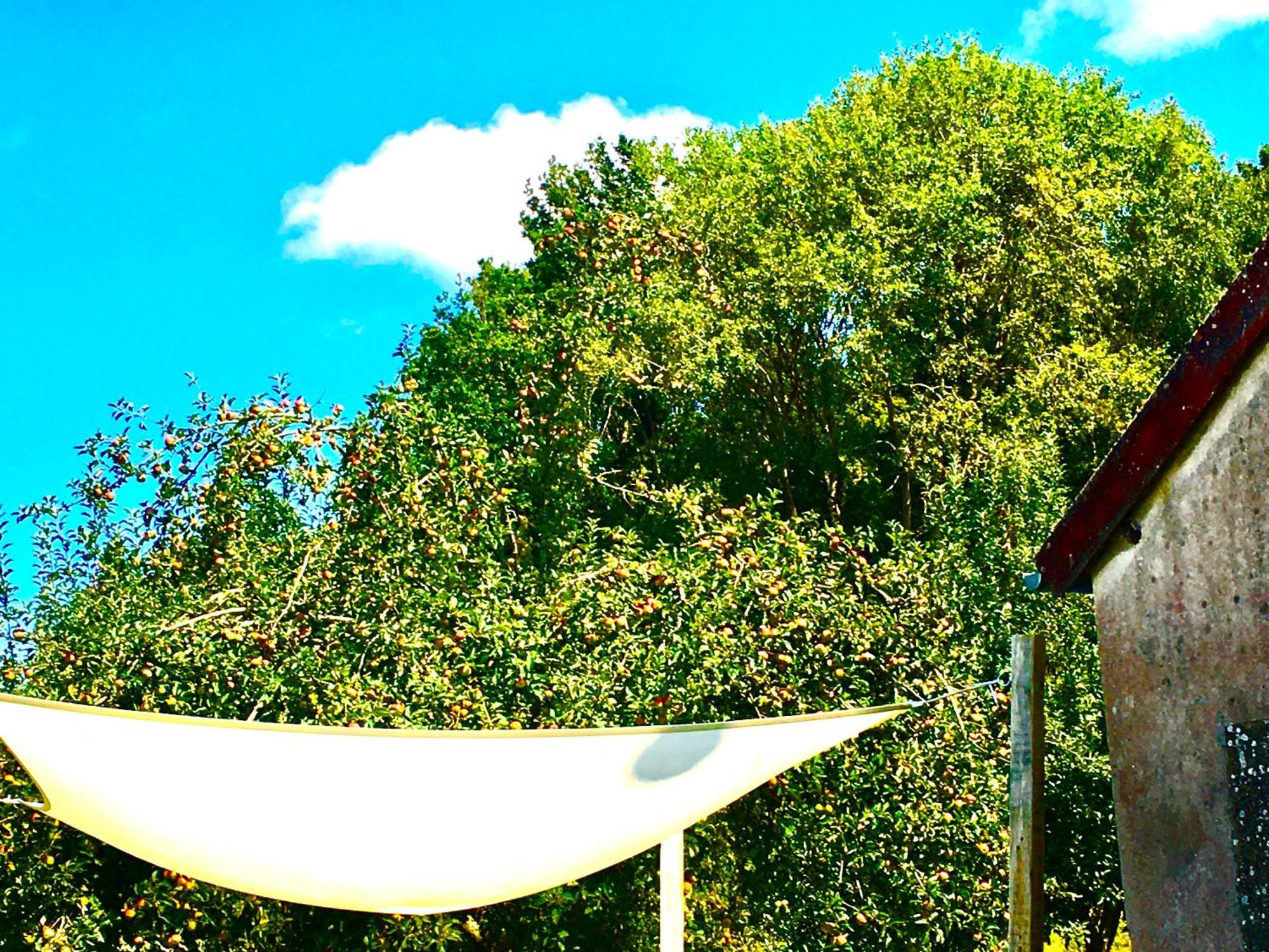 La Mirabelle Bed and Breakfast Saint-Pierre-de-Fursac Exteriör bild